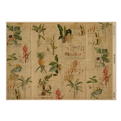 Arkusz kraft papieru z wzorem Botanical backgrounds #08, 42x29,7 cm - Fabrika Decoru