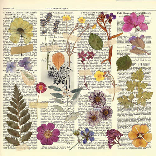 Коллекция бумаги для скрапбукинга Summer botanical story 30.5 х 30.5 см, 10 листов - Фото 6