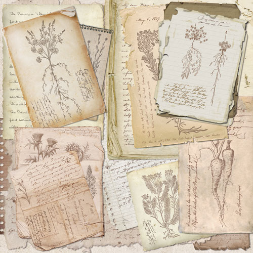 Коллекция бумаги для скрапбукинга Summer botanical story 30.5 х 30.5 см, 10 листов - Фото 4