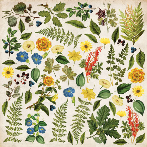 Zestaw papieru do scrapbookingu Summer botanical story , 30,5 cm x 30,5 cm - foto 11  - Fabrika Decoru