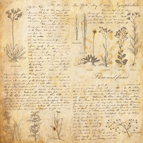 Zestaw papieru do scrapbookingu Summer botanical story , 30,5 cm x 30,5 cm - foto 7  - Fabrika Decoru