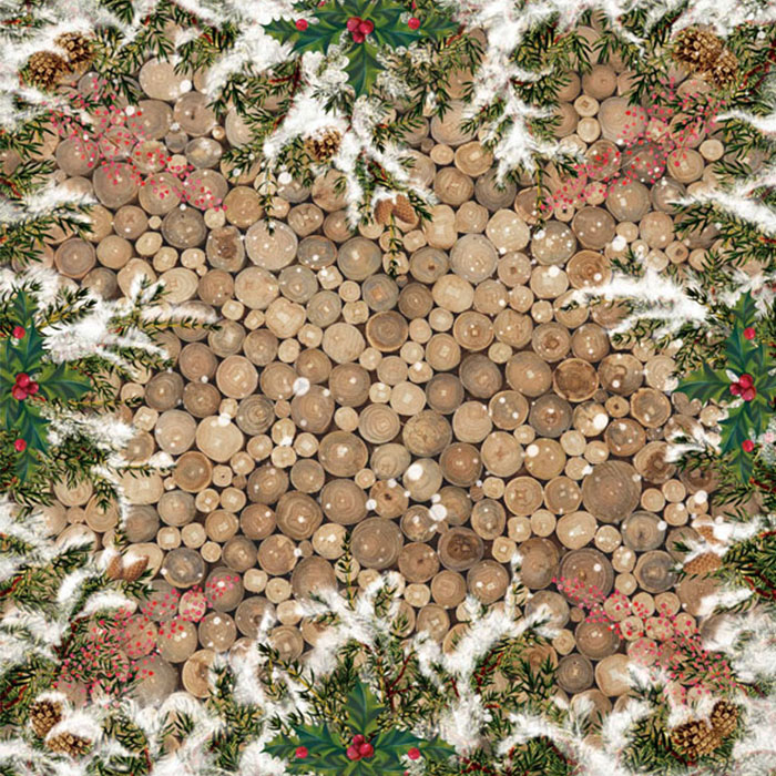 Doppelseitiges Scrapbooking-Papier-Set Botanik Winter, 30.5 cm x 30.5cm, 10 Blätter - foto 11  - Fabrika Decoru