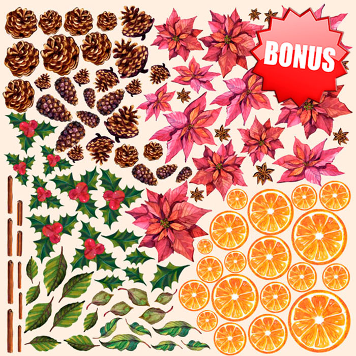 Double-sided scrapbooking paper set Botany winter 12"x12", 10 sheets - foto 3