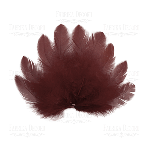 Feathers set mini "Brown"