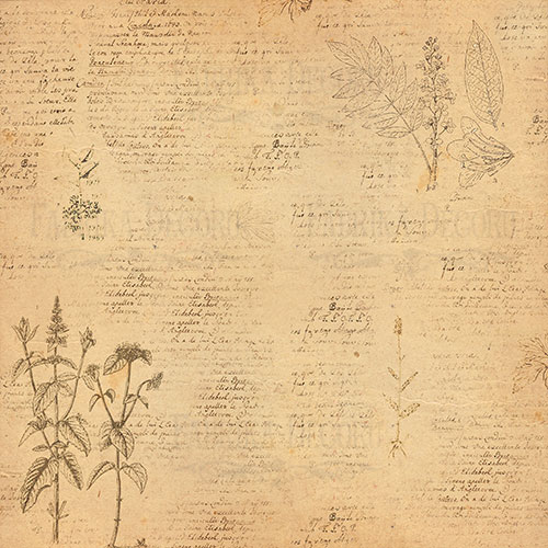 Набор двусторонней бумаги для скрапбукинга Botany summer 20x20 см, 10 листов - Фото 3