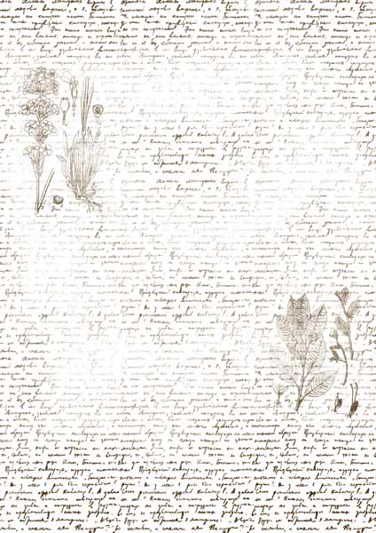 Overlay "Text mit Herbarium" 21х29,7 сm - Fabrika Decoru