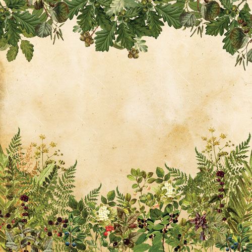 Zestaw papieru do scrapbookingu Summer botanical story , 30,5 cm x 30,5 cm - foto 3  - Fabrika Decoru
