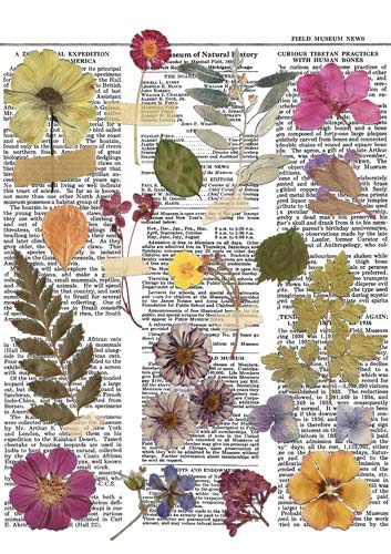 Overlay z nadrukiem do scrapbookingu, Botanical story - Fabrika Decoru