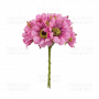 Bouquet of chamomiles pink, 6pcs